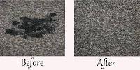Lush Carpet and Upholstery Cleaning 355257 Image 3